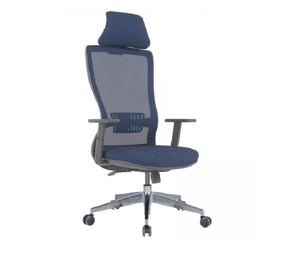 Arya Fileli Müdür Koltuğu