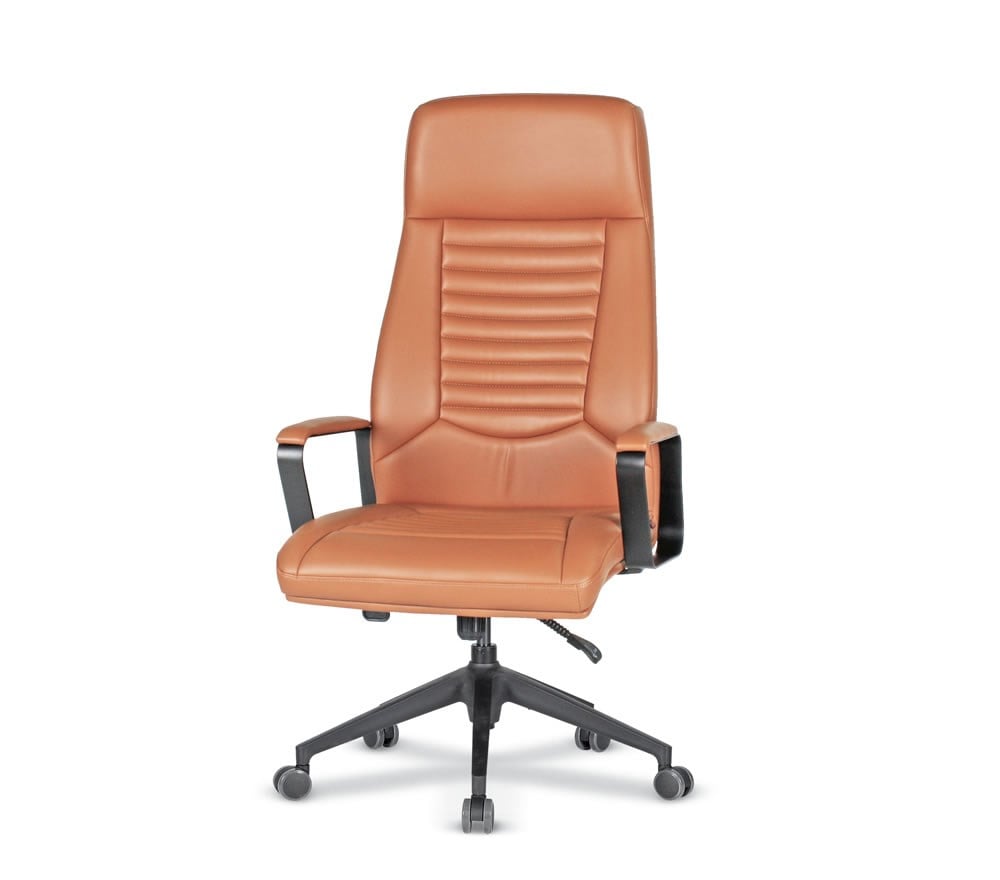 South Müdür Koltukları