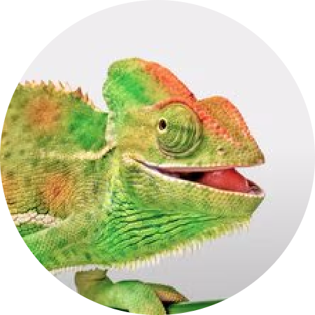 Sürüngen