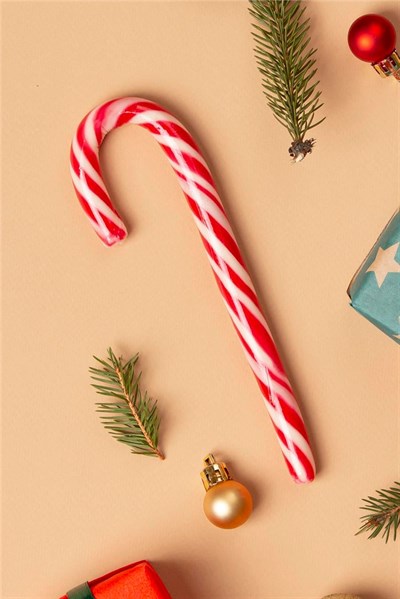 Bilişim Teknolojileri Öğretmeni Hediye Kutusu - Anı Defteri, Fotoğraf 10 Adet, Bez Kalemlik, Baston Şeker, Onefis Sade Çikolata Parçalı Cookie 4 adet