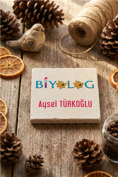 Biyolog Kişiye Özel Bardak Altlığı