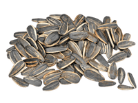 Ay Çekidreği İçi