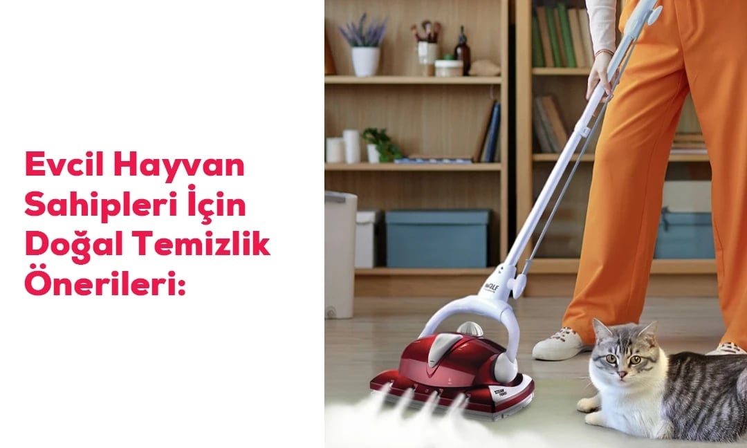 Evcil Hayvan Sahipleri İçin Doğal Temizlik Önerileri | UFO