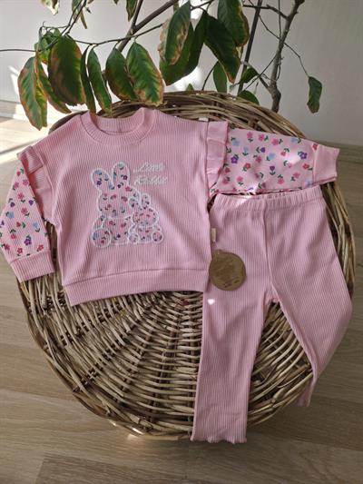 Rabbit Nakışlı Kız Bebek Takımı %100 Pamuk pembe