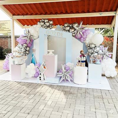 Karlar Ülkesi Doğum Günü Organizasyon Paketi