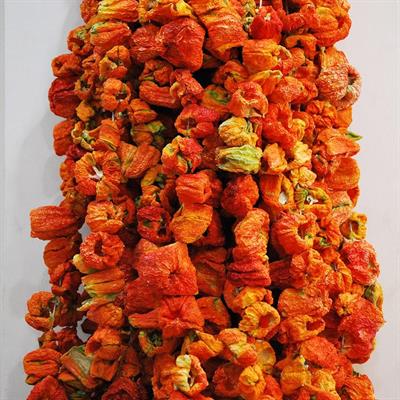 Biber Kurutma (Tatlı)