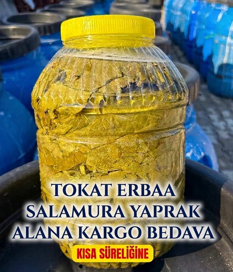 TOKAT ERBAA SALAMURA YAPRAK 5 LT BİDON