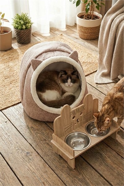 İsim Yazılabilir Kulaklı Mama Kabı Ve Keçe Kedi ve Küçük Irk Köpek Evi Seti Bej