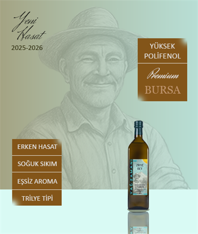 1 Litre Erken Hasat Naturel Sızma Zeytinyağı