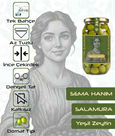 SALAMURA YEŞİL ZEYTİN