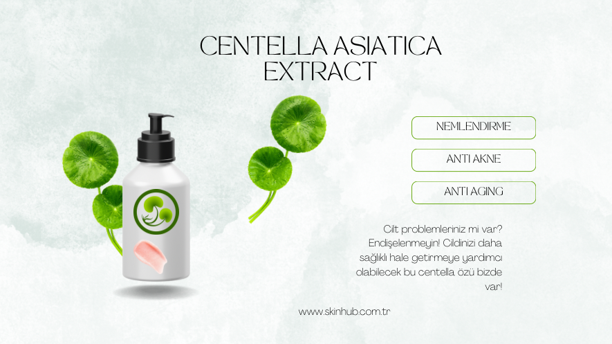 Centella Asiatica Nedir? Hassas ve Problemli Ciltler Neden Seviyor?