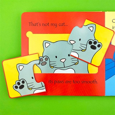 Usborne - Pets Kitap