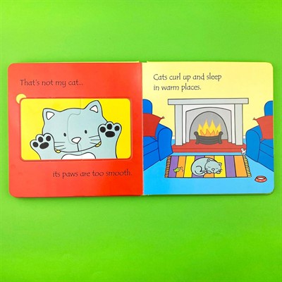 Usborne - Pets Kitap
