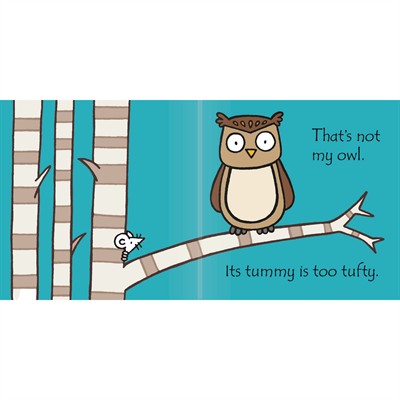 Usborne - Thats Not My Owl Kitap