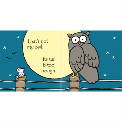Usborne - Thats Not My Owl Kitap