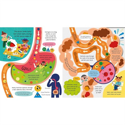 Usborne - Your Body Kitap