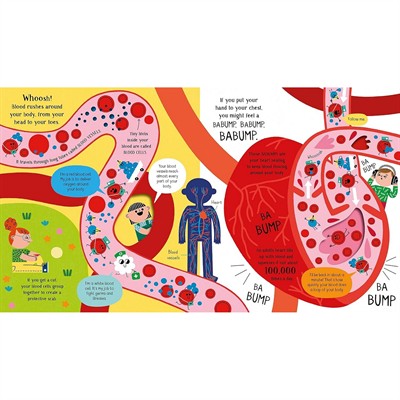 Usborne - Your Body Kitap