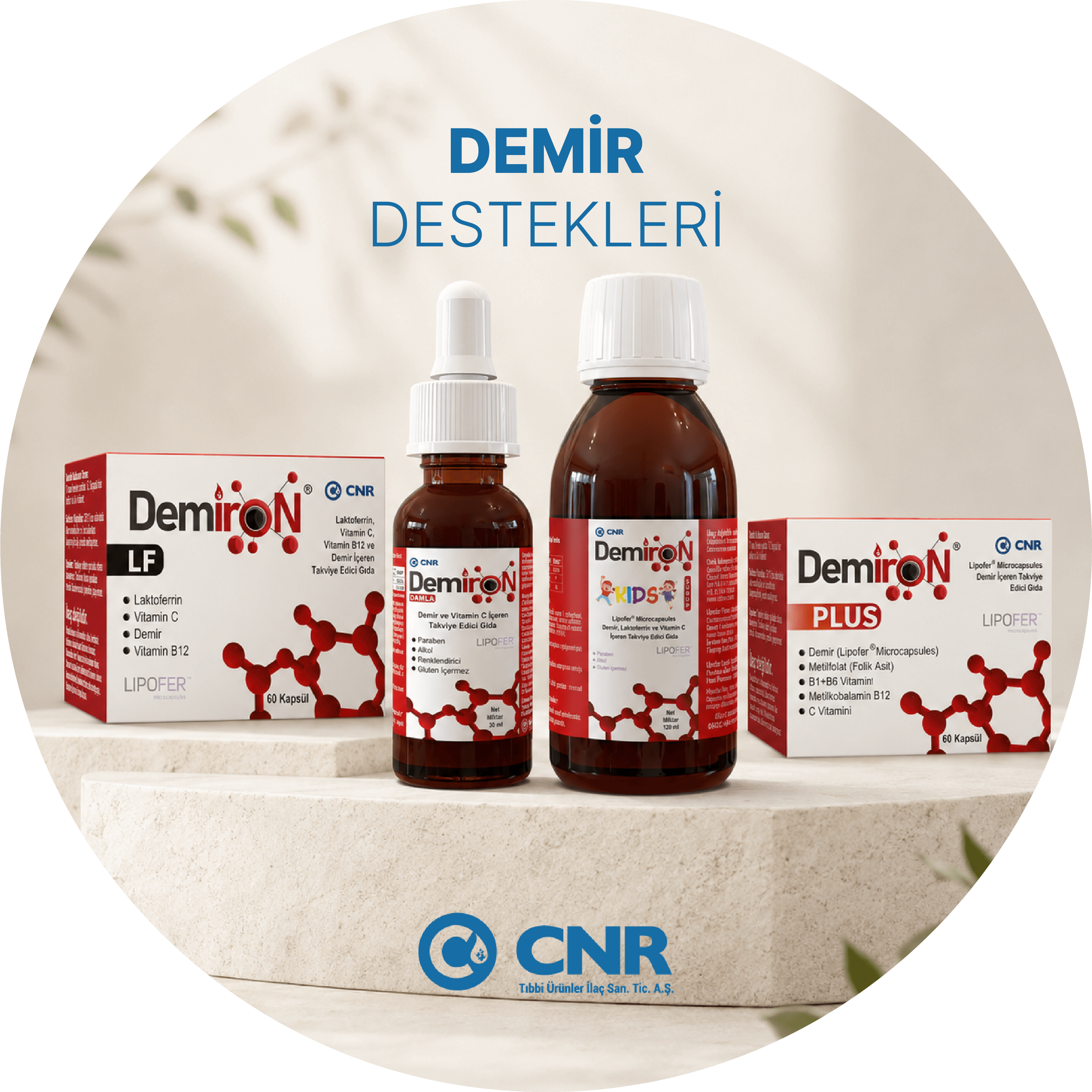 DEMİR DESTEKLERİ