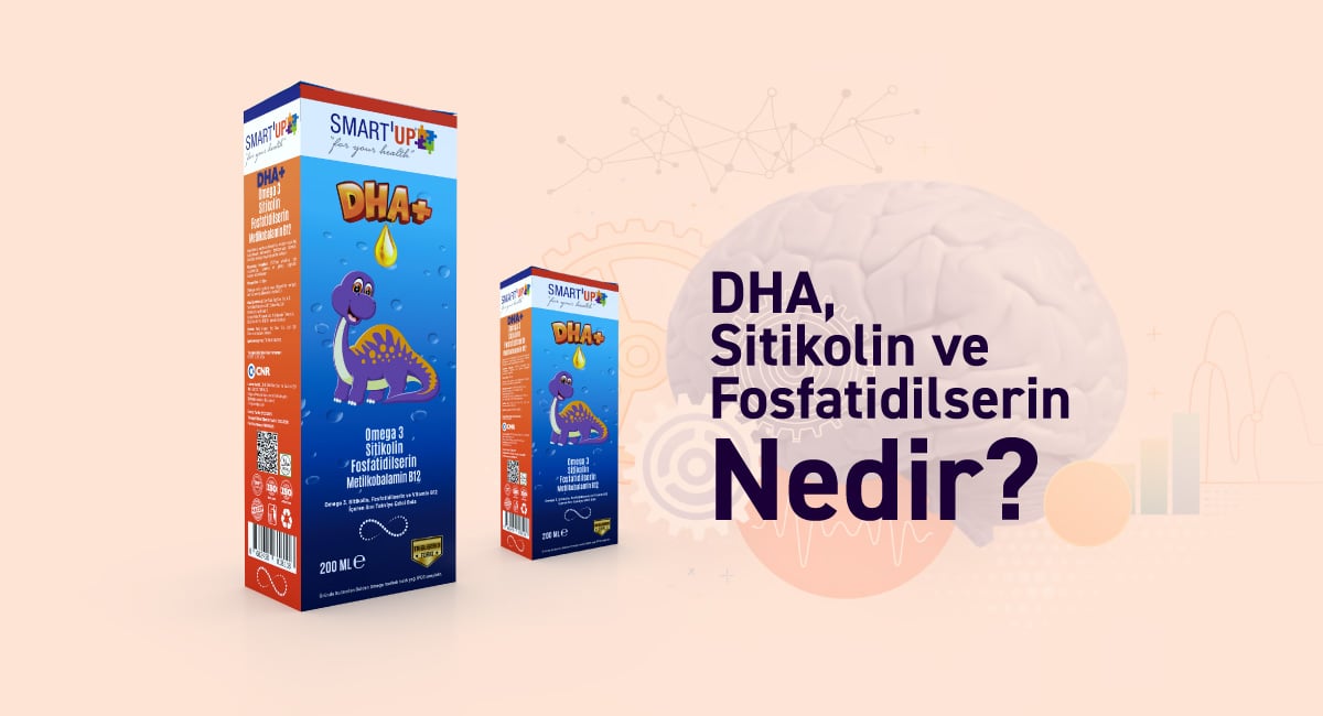 DHA, Sitikolin ve Fosfatidilserin Nedir? 
