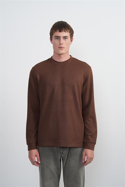 Erkek Bisiklet Yaka Çizgili Kumaş Kahve Sweatshirt