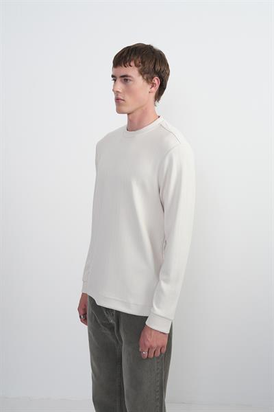 Erkek Bisiklet Yaka Çizgili Kumaş Krem Sweatshirt