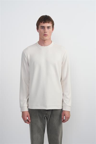 Erkek Bisiklet Yaka Çizgili Kumaş Krem Sweatshirt