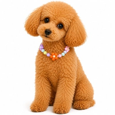 DolcePets Çiçek Desenli Kolye/Turuncu