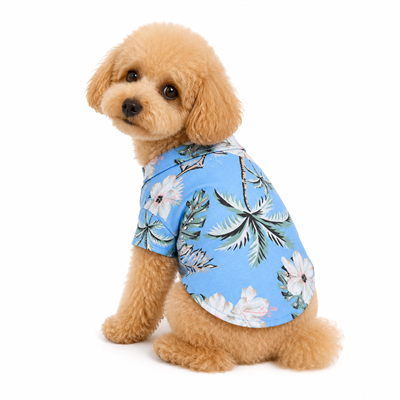 DolcePets Hawaii/Mavi Gömlek
