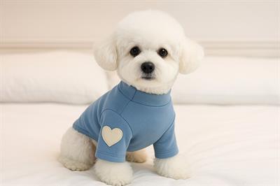 DolcePets Kalpli Kazak/Mavi