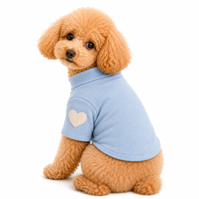 DolcePets Kalpli Kazak/Mavi