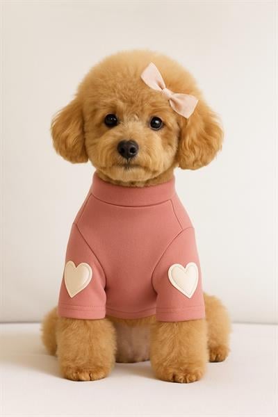 DolcePets Kalpli Kazak/Pembe