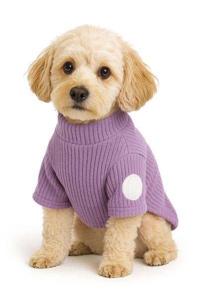 DolcePets Kedi Köpek Kıyafeti / Köpek Kazağı/Mor