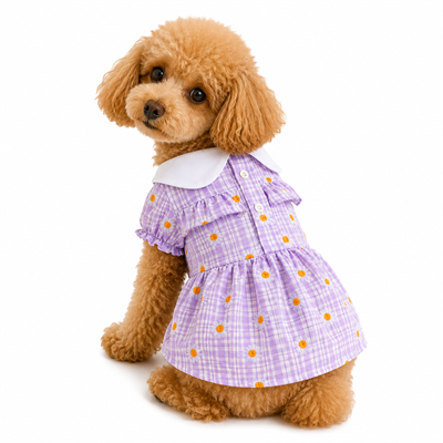 DolcePets Yakalı Papatya Elbise/Mor