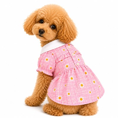 DolcePets Yakalı Papatya Elbise/Pembe