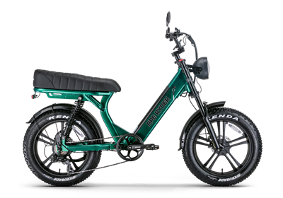 APE RYDER MD-10 ELEKTRİKLİ BİSİKLET