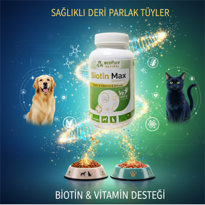 BiotinMax® Powder Kedi & Köpek Deri & Tüy Desteği 50gr
