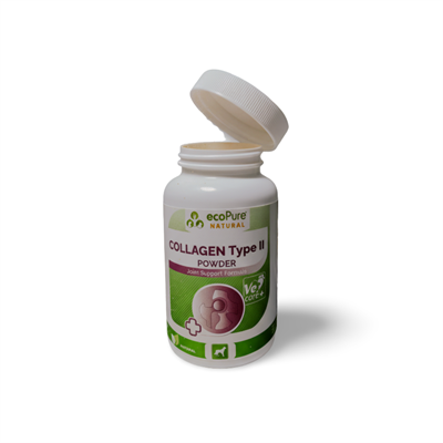 Collagen Type II  % 100 saf Kalça Eklem Desteği 100g