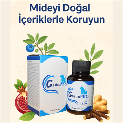 GastroPro Mide Koruyucu