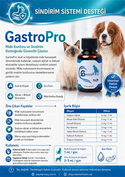 GastroPro Mide Koruyucu