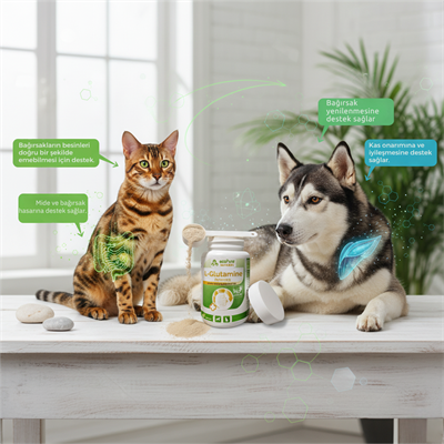 L-Glutamine® Powder Kedi & Köpek Sindirim Desteği