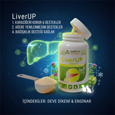 LiverUP® Powder Karaciğer Fonksiyon Desteği  80g