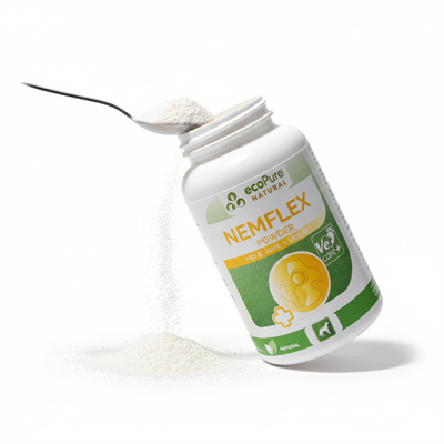 NEMFLEX ® Powder Yumurta Kabuğu Zarı Kalça ve Eklem Desteği 90g