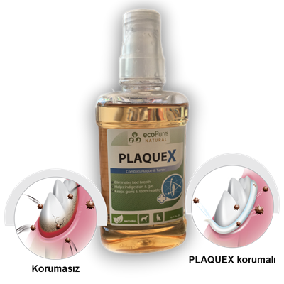 PlaqueX® - Tartar&Plak Engelleyici