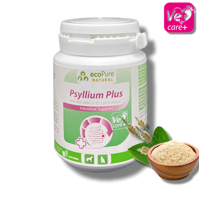 Psyllium Plus Powder 40g Cat & Dog