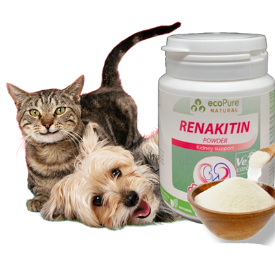 Renakitin® Böbrek Fonksiyon Desteği