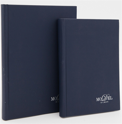 DİLMAN DEFTER MODELİST CİLTLİ SERT KAPAK 17x24 160 YP KARELİ 6015