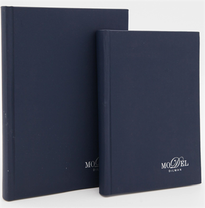DİLMAN DEFTER MODELİST CİLTLİ SERT KAPAK 17x24 160 YP DÜZ 6013
