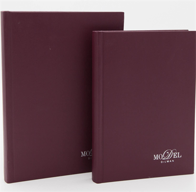 DİLMAN DEFTER MODELİST CİLTLİ SERT KAPAK 17x24 160 YP ÇİZGİLİ 6014