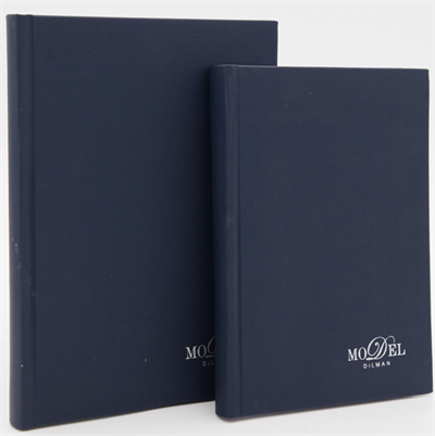 DİLMAN DEFTER MODELİST CİLTLİ SERT KAPAK 17x24 160 YP ÇİZGİLİ 6014