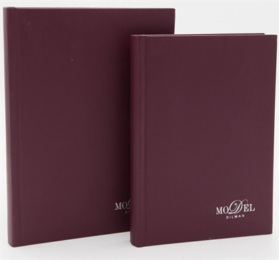 DİLMAN DEFTER MODELİST CİLTLİ SERT KAPAK 17x24 160 YP DÜZ 6013